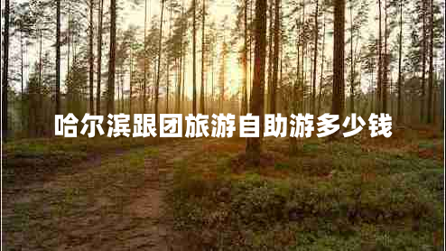 哈爾濱跟團(tuán)旅游自助游多少錢(qián)