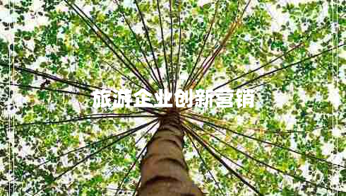 旅游企業(yè)創(chuàng)新營(yíng)銷