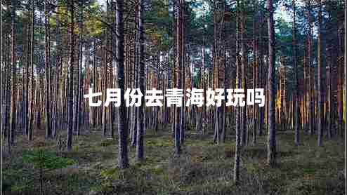 七月份去青海好玩嗎