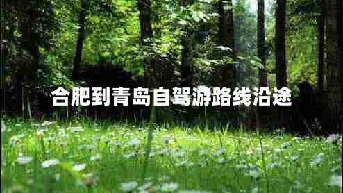 合肥到青島自駕游路線沿途