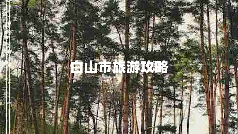 白山市旅游攻略 白山市旅游攻略