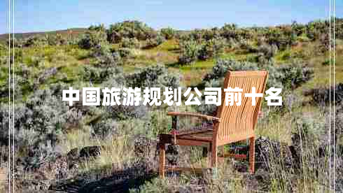 中國(guó)旅游規(guī)劃公司前十名