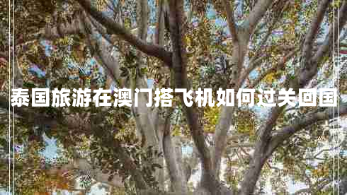 泰國旅游在澳門搭飛機如何過關回國