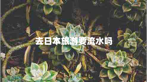 去日本旅游要流水嗎