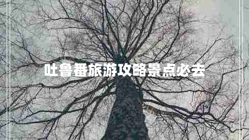 吐魯番旅游攻略景點必去