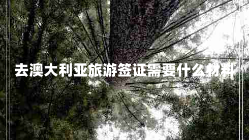 去澳大利亞旅游簽證需要什么材料