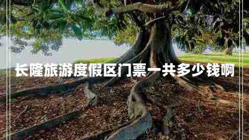 長隆旅游度假區(qū)門票一共多少錢啊