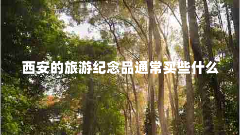 西安的旅游紀念品通常買些什么