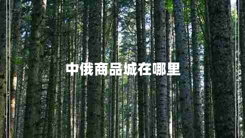 中俄商品城在哪里
