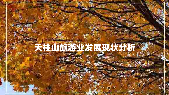 天柱山旅游業(yè)發(fā)展現(xiàn)狀分析
