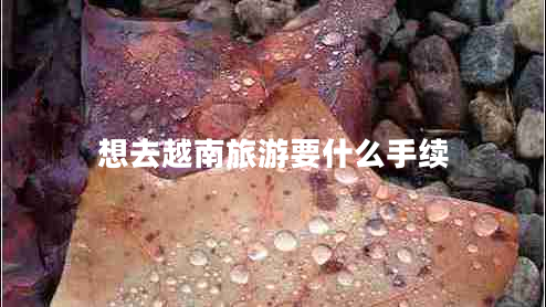 想去越南旅游要什么手續(xù)