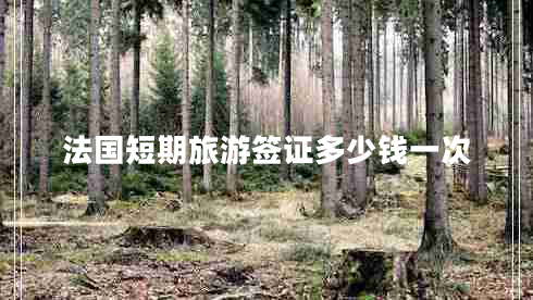 法國(guó)短期旅游簽證多少錢一次