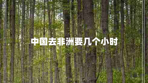 中國去非洲要幾個小時