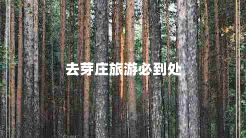 去芽莊旅游必到處