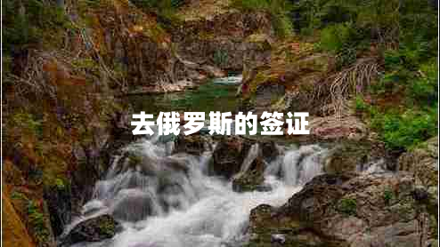 去俄羅斯的簽證