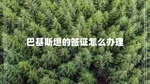 巴基斯坦的簽證怎么辦理