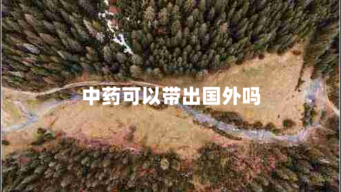 中藥可以帶出國(guó)外嗎 中藥可以帶出國(guó)外嗎