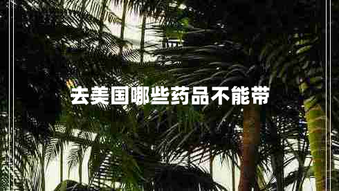 去美國哪些藥品不能帶