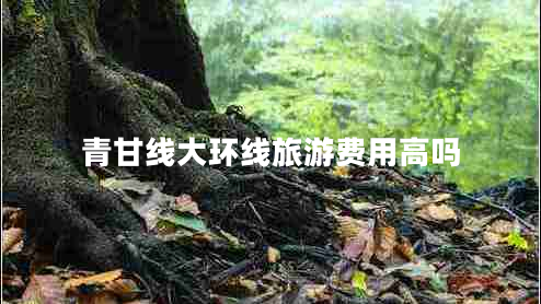 青甘線大環(huán)線旅游費(fèi)用高嗎 青甘線大環(huán)線旅游費(fèi)用高嗎