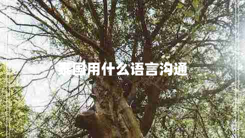 泰國用什么語言溝通