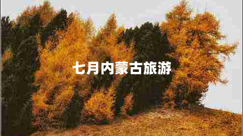 七月內(nèi)蒙古旅游