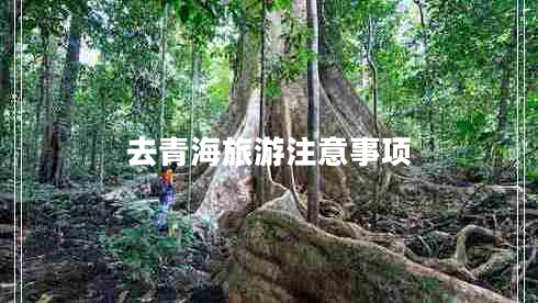 去青海旅游注意事項(xiàng)