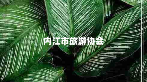 內江市旅游協(xié)會 內江市旅游協(xié)會