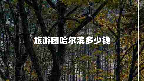 旅游團(tuán)哈爾濱多少錢