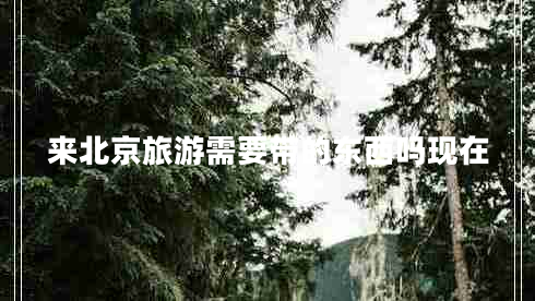 來(lái)北京旅游需要帶的東西嗎現(xiàn)在