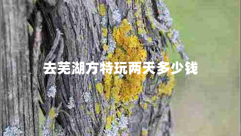 去蕪湖方特玩兩天多少錢(qián) 去蕪湖方特玩兩天多少錢(qián)