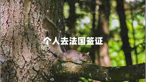 個(gè)人去法國簽證 個(gè)人去法國簽證