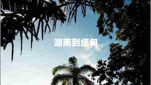 湖南到緬甸 湖南到緬甸