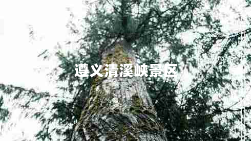 遵義清溪峽景區(qū) 遵義清溪峽景區(qū)