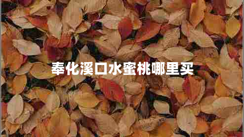 奉化溪口水蜜桃哪里買