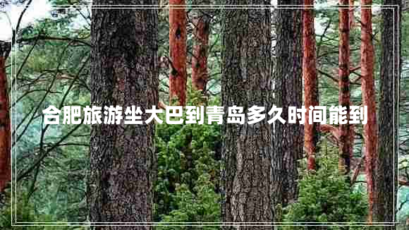 合肥旅游坐大巴到青島多久時(shí)間能到