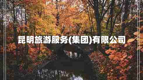 昆明旅游服務(wù)(集團)有限公司