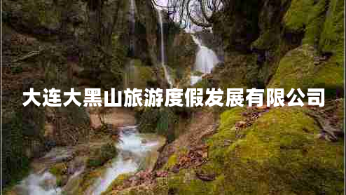 大連大黑山旅游度假發(fā)展有限公司