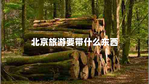 北京旅游要帶什么東西