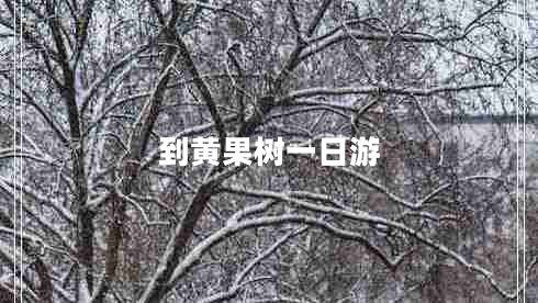 到黃果樹一日游 到黃果樹一日游