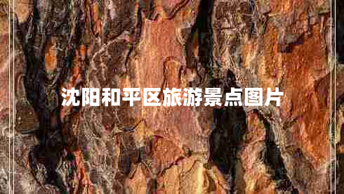 沈陽(yáng)和平區(qū)旅游景點(diǎn)圖片