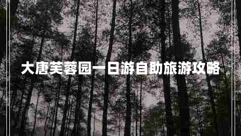 大唐芙蓉園一日游自助旅游攻略