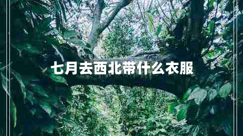 七月去西北帶什么衣服