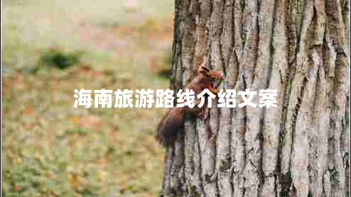 海南旅游路線介紹文案