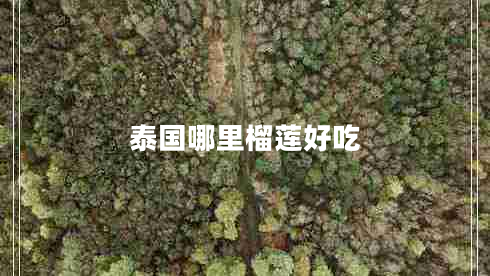 泰國哪里榴蓮好吃