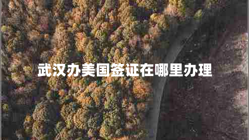 武漢辦美國簽證在哪里辦理