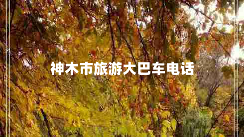 神木市旅游大巴車電話 神木市旅游大巴車電話