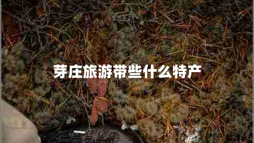 芽莊旅游帶些什么特產(chǎn) 芽莊旅游帶些什么特產(chǎn)