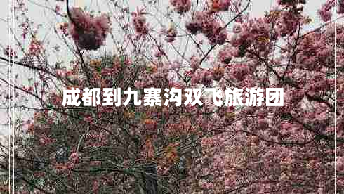 成都到九寨溝雙飛旅游團(tuán) 成都到九寨溝雙飛旅游團(tuán)