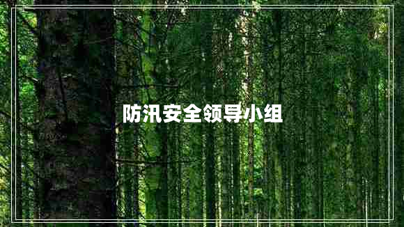 防汛安全領(lǐng)導(dǎo)小組