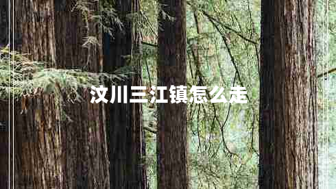 汶川三江鎮(zhèn)怎么走